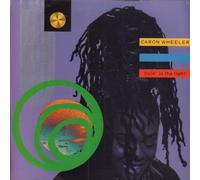 Wheeler, Caron - Livin'In The Light