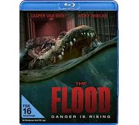 Whelan,Nicky - The Flood [Blu-Ray] [Import]
