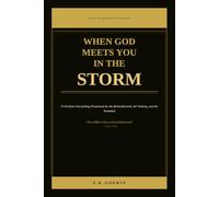 When God Meets You in the Storm: A Christian Storytelling Devotional for the Brokenhearted, the Waiting, and the Wounded