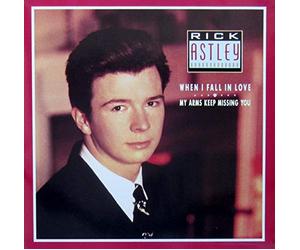When I Fall in Love (INCL.My Arms Keep. Dub Mix) [Import]