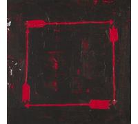 When I Shoot At You With Arrows I Will Shoot To Destroy You CD