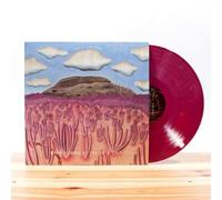 When I Think of You in a Castle by Post Animal [VINYL] NEUF