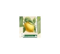 When Life Gives You Lemons - Reflections: 10 Everyday Short Stories Vol. 001 - B1-B2 (+ Audio-Cd)