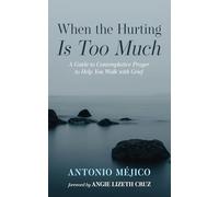 When the Hurting Is Too Much: A Guide to Contemplative Prayer to Help You Walk with Grief