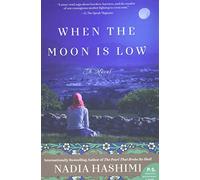When the Moon Is Low: A Heart-Wrenching Novel of Survival and Family Separation During War in Afghanistan
