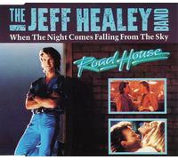 When the Night Comes Falling From the Sky