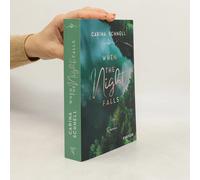 When The Night Falls