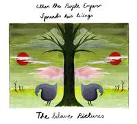 When the Purple Emperor Spreads His Wings