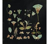 When the Quiet Comes