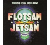 When The Storm Comes Down