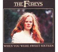 When You Were Sweet Sixteen [Import Allemand]