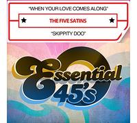 When Your Love Comes Along/Skippity Doo