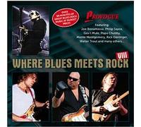 Where blues meets rock volume 3