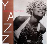 WHERE HAS ALL THE LOVE GONE 7" (45) UK BIG LIFE 1989 B/W STAND UP FOR YOUR LOVE RIGHTS (BLR8) PIC SLEEVE