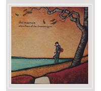 Where Have All The Dreamers Gone