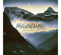 Sometime In February – Where Mountains Hide – CD