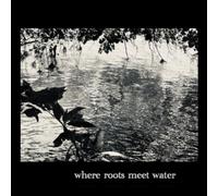 Where roots meet water