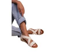 Where´s That From - Chaussures HUMMINGBIRD - Femme (WM162)