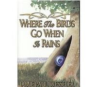 Where The Birds Go When It Rains