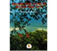 Where the Forest Meets the Sea by Jeannie Baker Baker, Jeannie (Auteur)