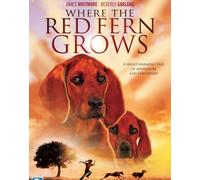 Where The Red Fern Grows (DVD) Beverly Garland Jack Ging James Whitmore