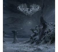 Where The Sun Glare Danced