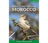 Where To Watch Birds In Morocco