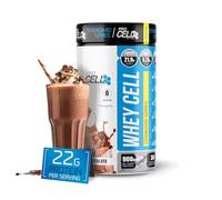 WheyCell | Protéine Whey Pure (900 g/18 services) - Saveur Chocolat - 100% concentré de lactosérum premium pour augmenter la masse musculaire - 22 g de protéines par service - sans gluten