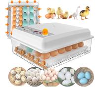 WhFKLca Incubateur Et Couveuse D'œUfs, Retournement Automatique des œUfs + Ajout Automatique d'eau + ContrôLe De La TempéRature, pour L'éClosion des Volailles, Poulets, Canards, Oies, Oiseaux,64eggs