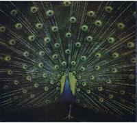 Which Side Are You On ?