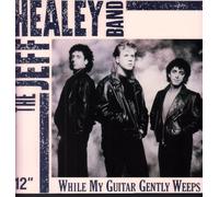 While My Guitar Gently Weeps [Import]