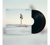 While The Flood Rages Vinyle