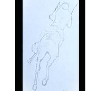 Whip Wit: Cavalier Satire Inspired by Zaporozhian Cossack Correspondence to the Sultan of Turkey