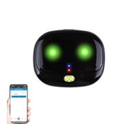 WHIPIN Collier Anti-Fugue sans Fil Rechargeable, Suivi en Temps réel, localisateur d'animaux étanche, système de Confinement avec lumière LED Intelligente, Alarme de Batterie Faible(Black)