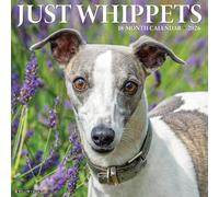 Whippets 2026 12 X 12 Wall Calendar