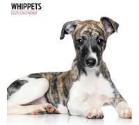 Whippets Calendrier moderne 2025