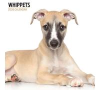 Whippets Calendrier moderne 2026
