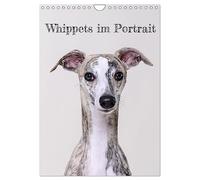 Whippets im Portrait (Wandkalender 2026 DIN A4 hoch), CALVENDO Monatskalender