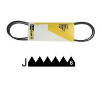 Courroie 1240 J6 Pour Lave Linge Whirlpool - 480111100187 G
