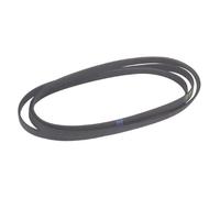 WHIRLPOOL - COURROIE POLY-V 1922 H8 ELASTIQUE - 481281729471