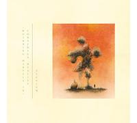 (Whirring Marvels in) Consensus Reality - Vinyle Vert