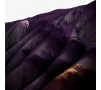 Whispering Sons - Several Others (Colured Vinyl) [Import]