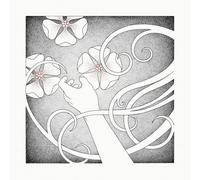 Whispering Void - At the Sound of the Heart (Hardcover Book)