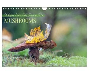 Whispers Beneath the Forest's Moss Mushrooms (Wall Calendar 2027 DIN A4 landscape), CALVENDO 12 Month Wall Calendar: Mystic and mysterious life of mushrooms in the forest