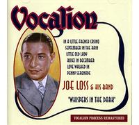Loss,Joe & His Band - Whispers in The Dark [Import]