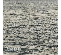 Whispers in The Static/Grey Vinyl/CD Inclus