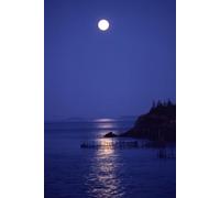 Whispers of Resilience: A Guided Trauma Healing Journal for Gentle Recovery: Guided Prompts for Mindful Recovery, Self-Compassion, and Inner Strength