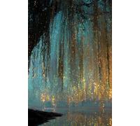 Whispers of the Willow: A Magical Journal: Glittering Dreams Beneath a Glowing Weeping Willow Tree