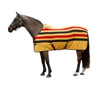 Whitaker - Couverture Polaire pour Chevaux AINTREE (130 cm) (Jaune)