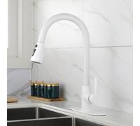 White Commercial Laundry Single Handle Out with Pull Down Sprayer RV Stainless Steel Kitchen Faucets